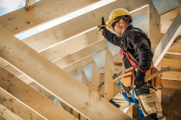 Best Roof Gutter Cleaning  in Buford, GA